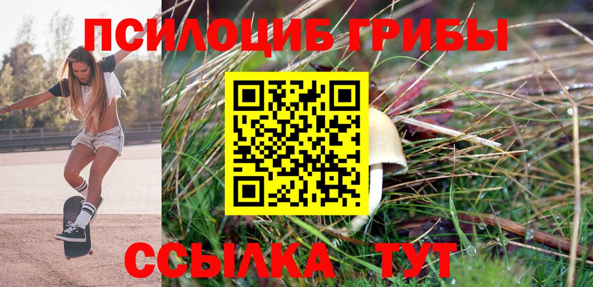 Уссурийск  купить закладку  Вход с VPN  Галлюциногенные грибы Psilocybe 