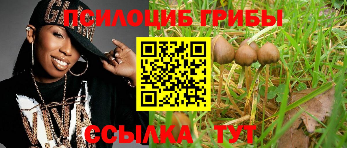 Галлюциногенные грибы мухоморы Уссурийск